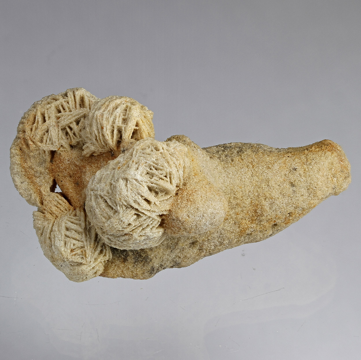 Baryte Var Baryte Rose