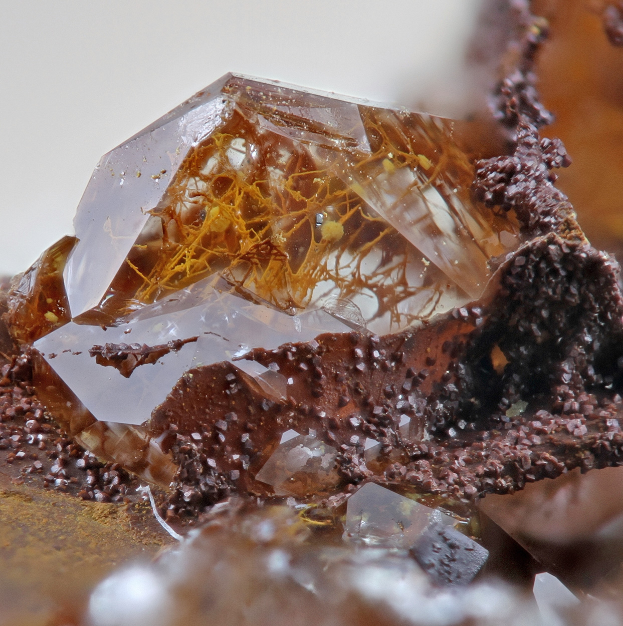 Quartz With Fossil Fungi Inclusions