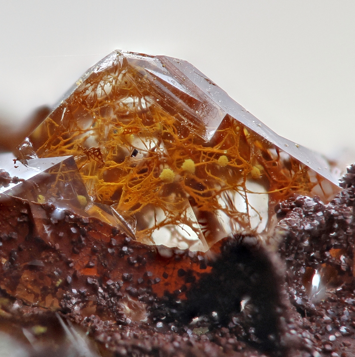 Quartz With Fossil Fungi Inclusions