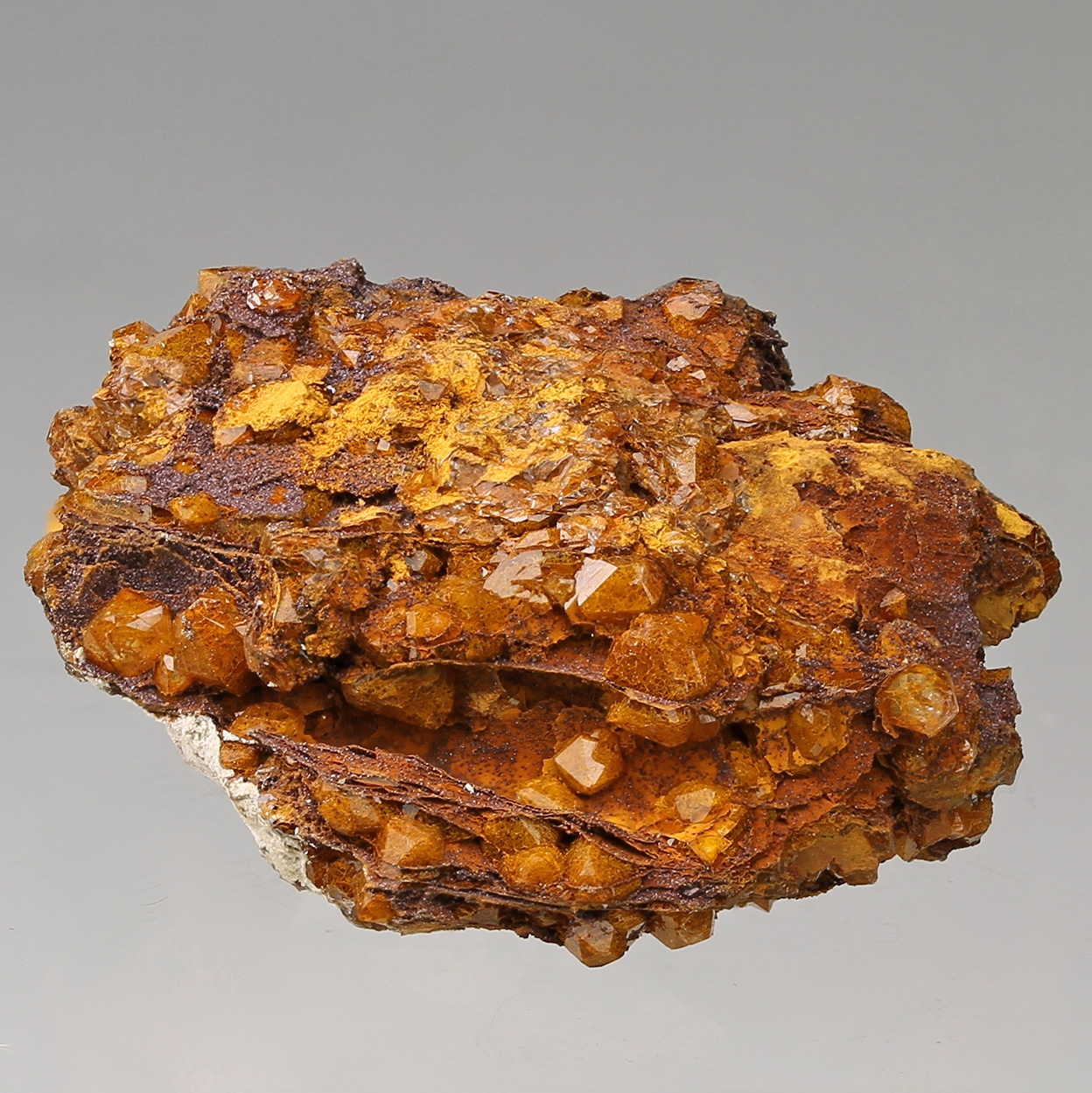 Quartz With Fossil Bacteria Inclusions