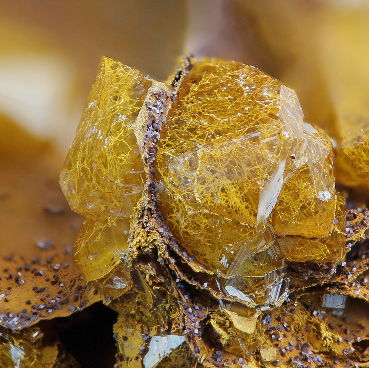 Quartz With Fossil Bacteria Inclusions