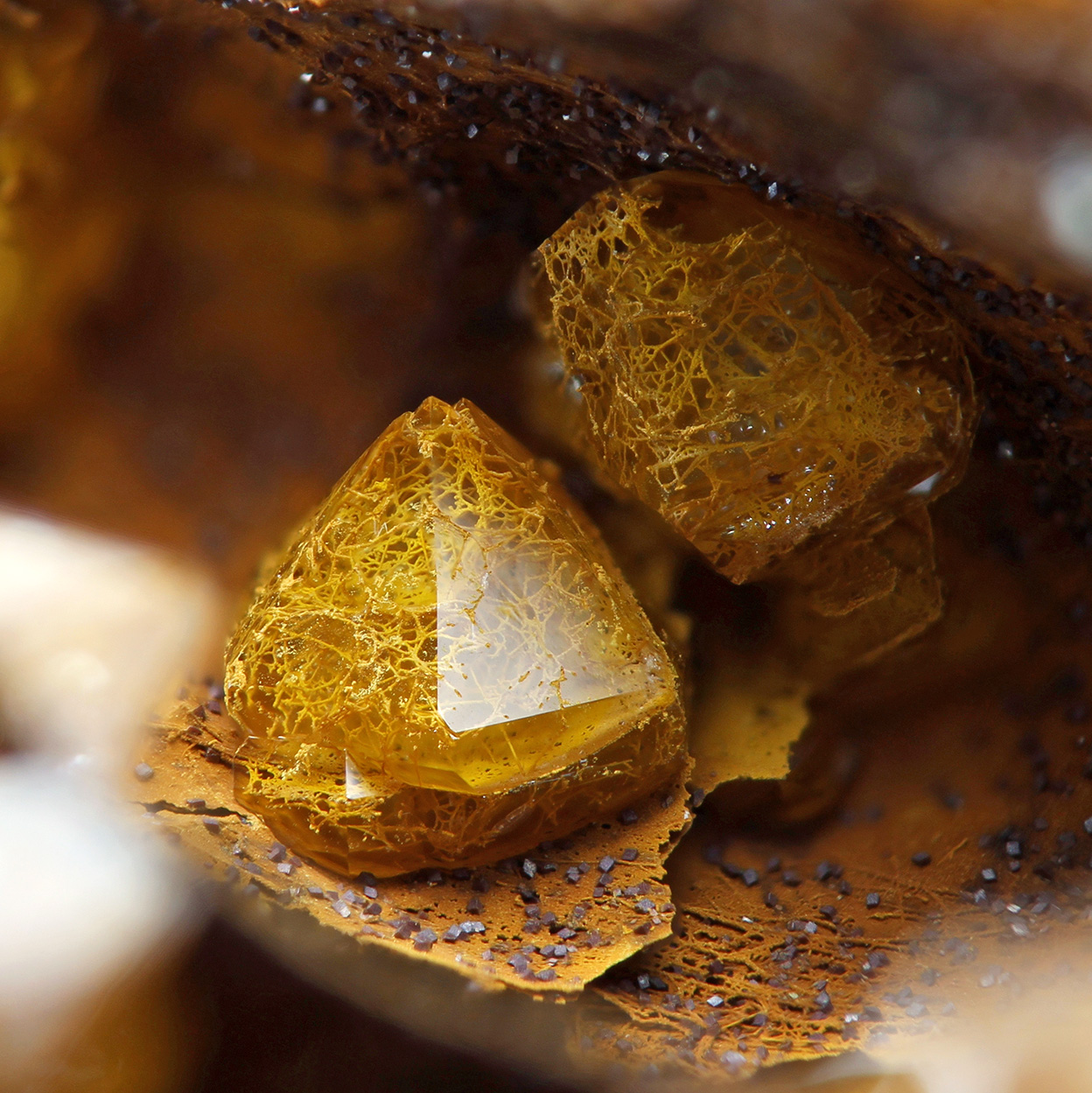 Quartz With Fossil Bacteria Inclusions