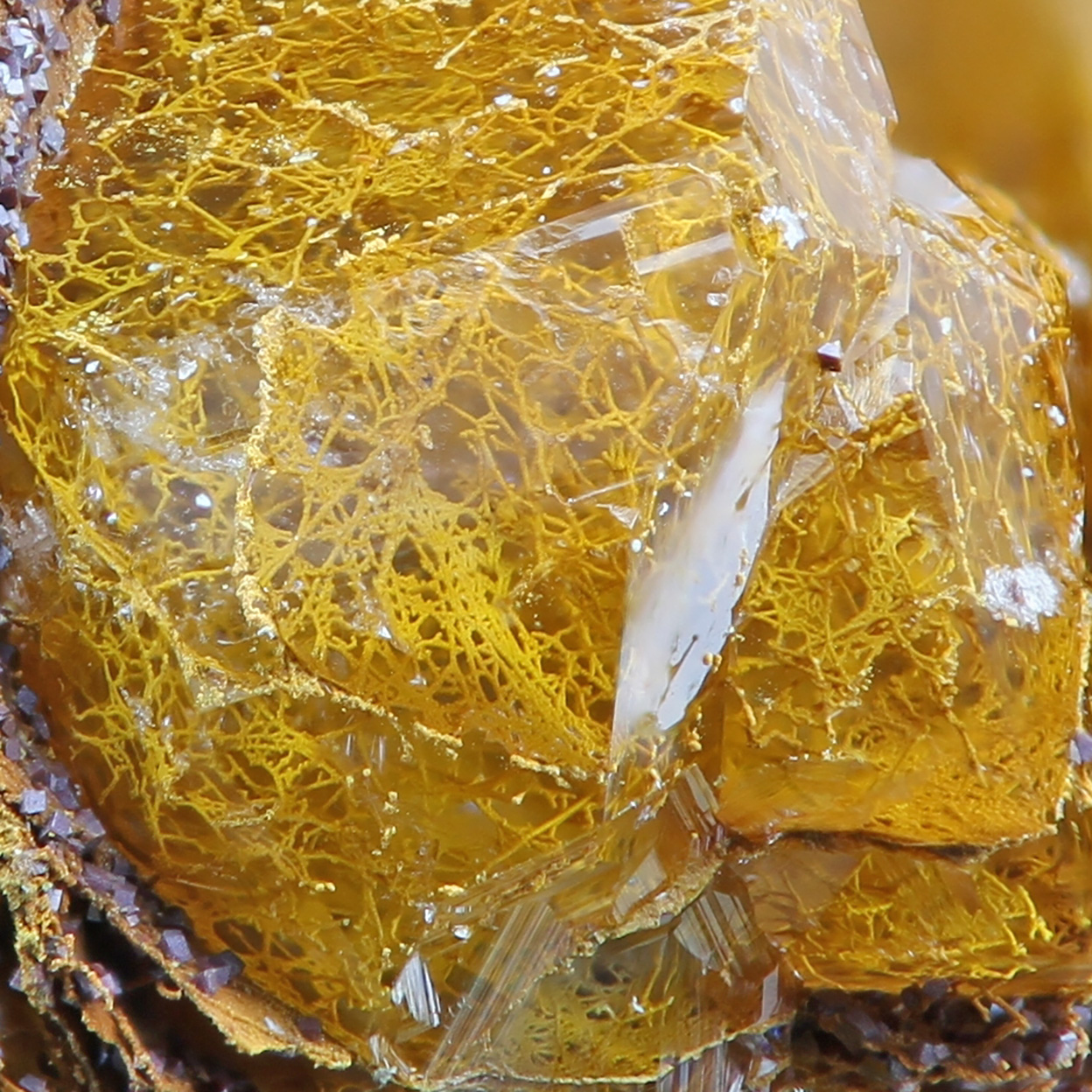 Quartz With Fossil Bacteria Inclusions