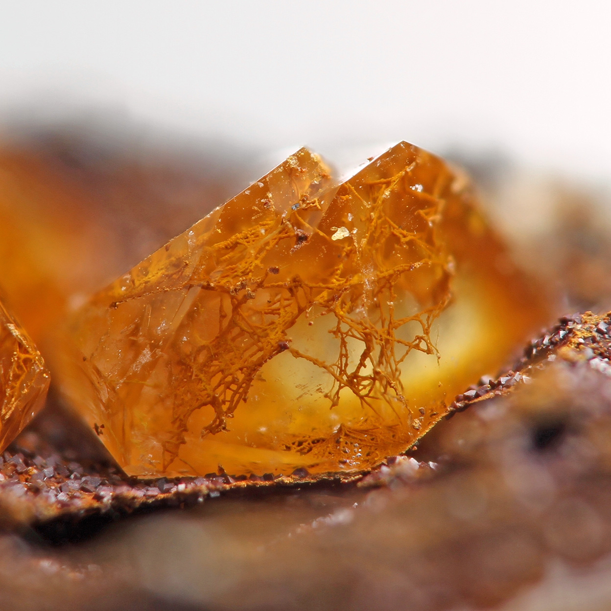 Quartz With Fossil Bacteria Inclusions