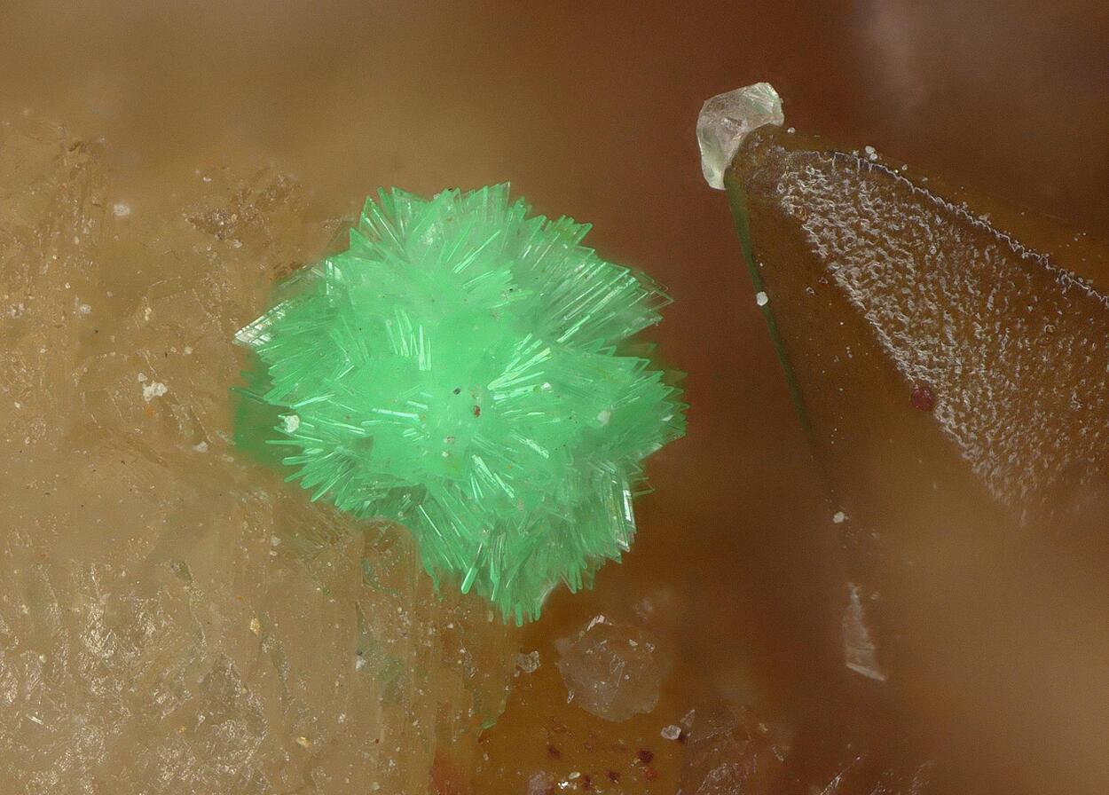 Annabergite