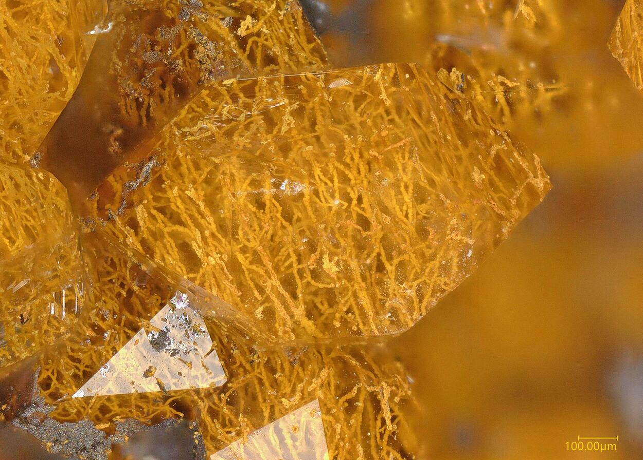 Quartz With Fossil Fungi Inclusions