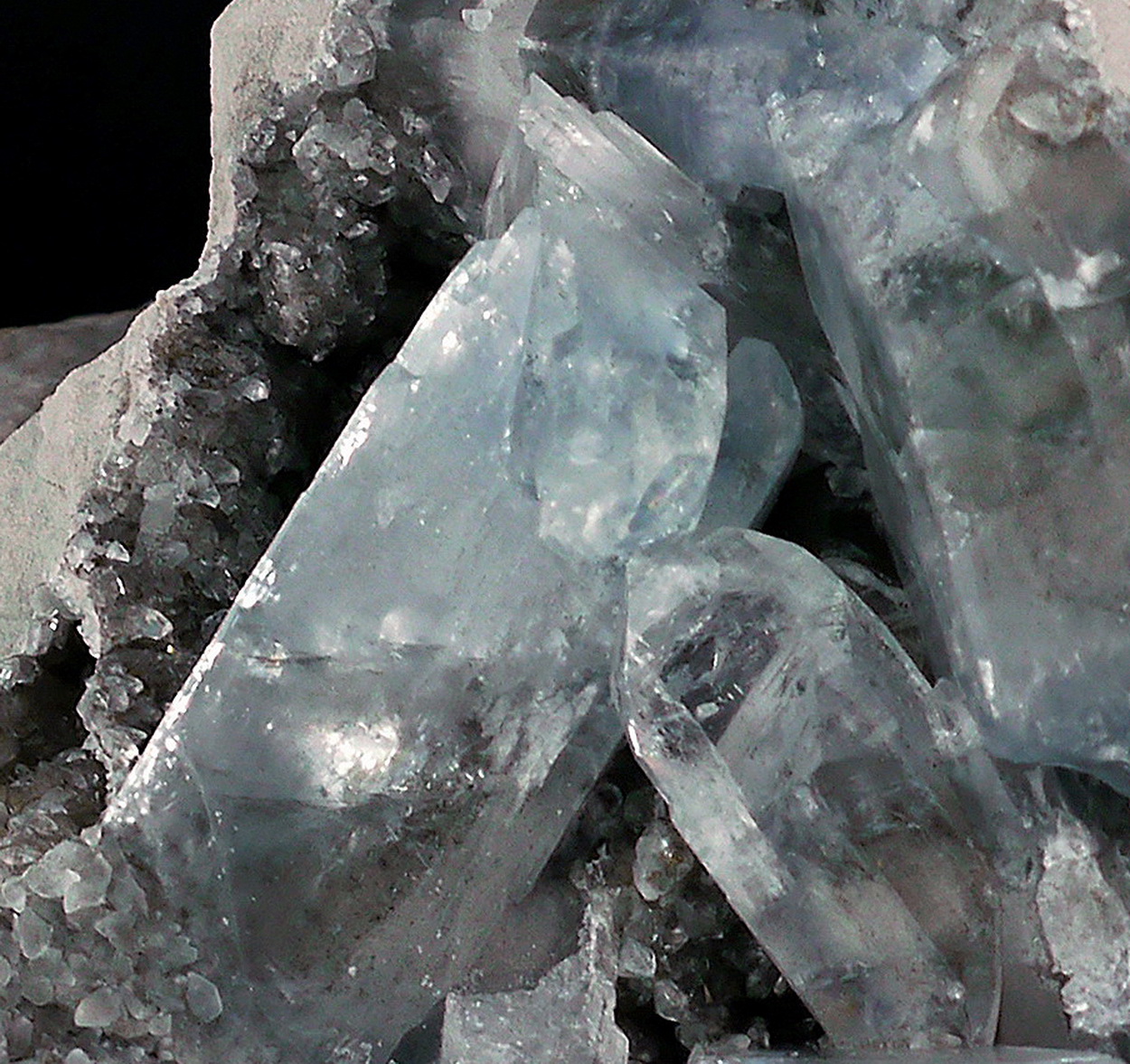 Celestine On Fossil