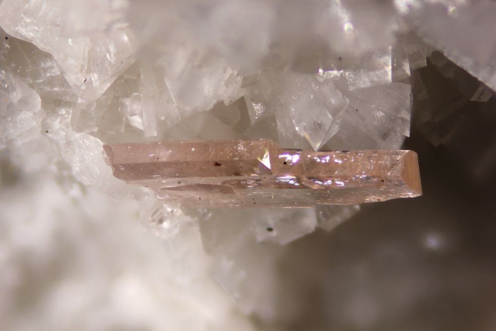 Iimoriite-(Y)