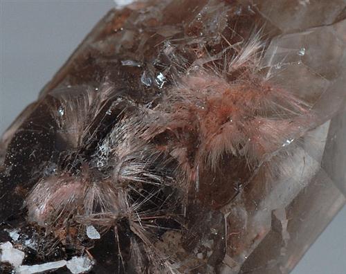 Eudidymite & Smoky Quartz