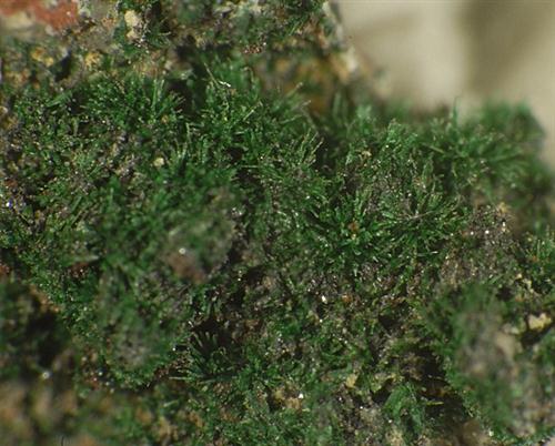 Piypite