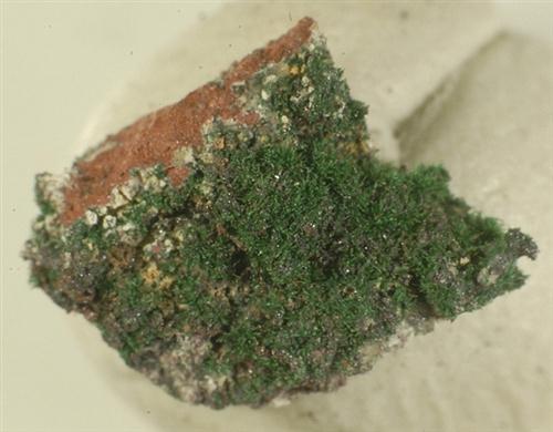 Piypite