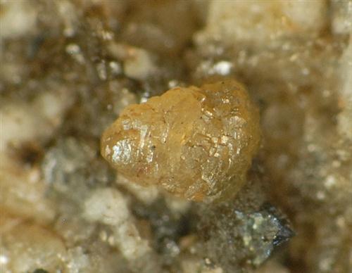 Chernovite-(Y)