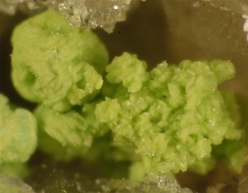 Gartrellite