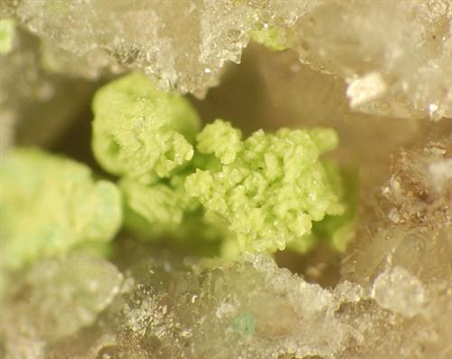 Gartrellite