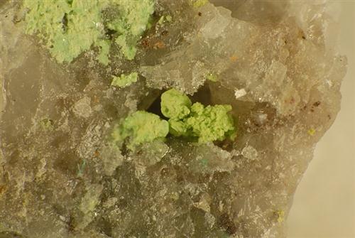 Gartrellite