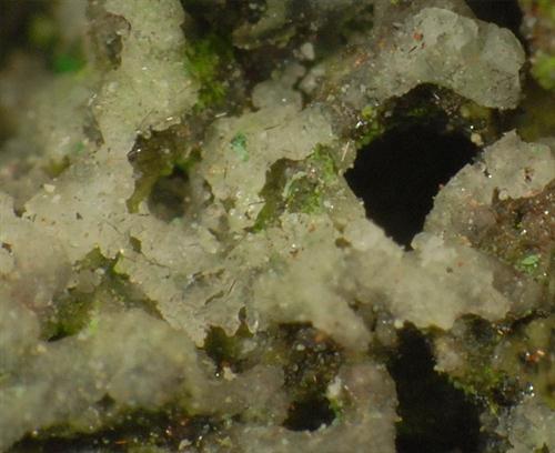 Langbeinite