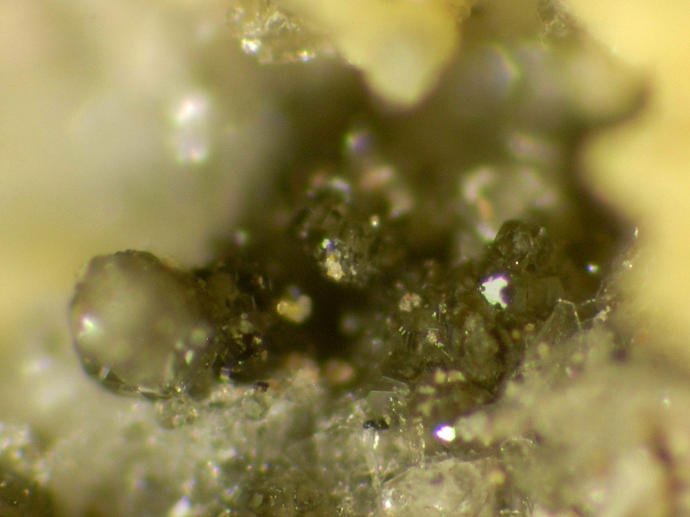 Ammoniomagnesiovoltaite