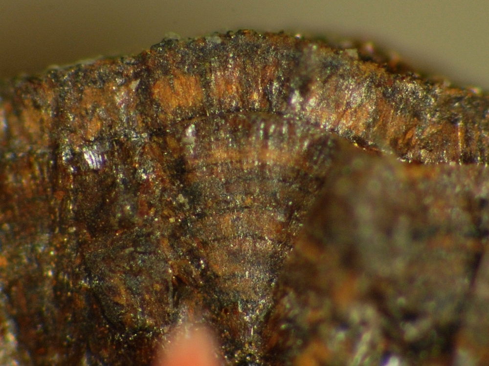 Chukanovite