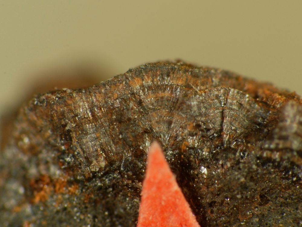 Chukanovite
