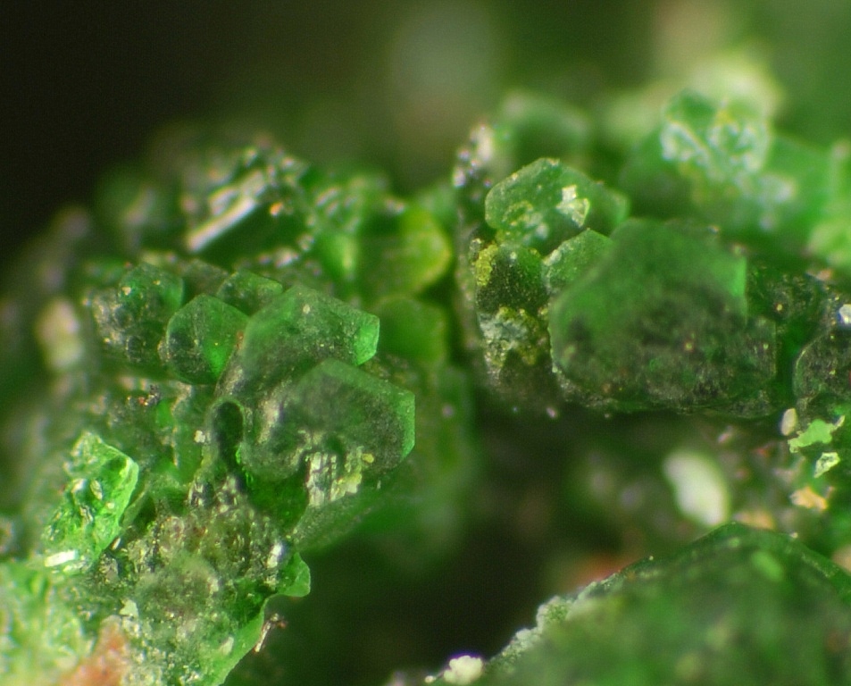Fedotovite
