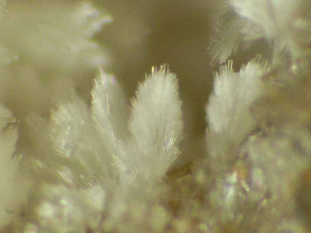 Ferrierite-Mg
