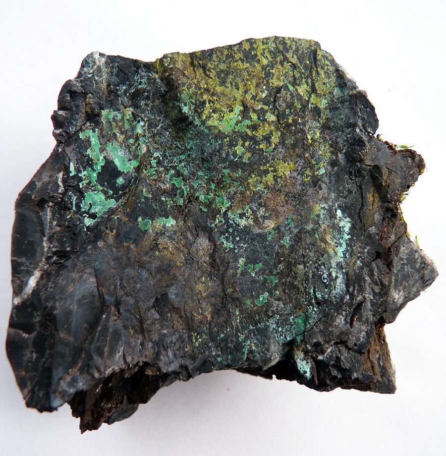Fossil Wood & Volborthite