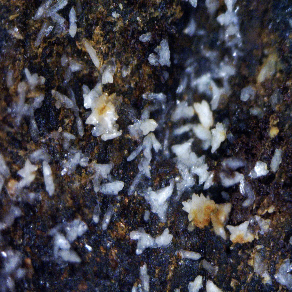 Scorodite & Jarosite