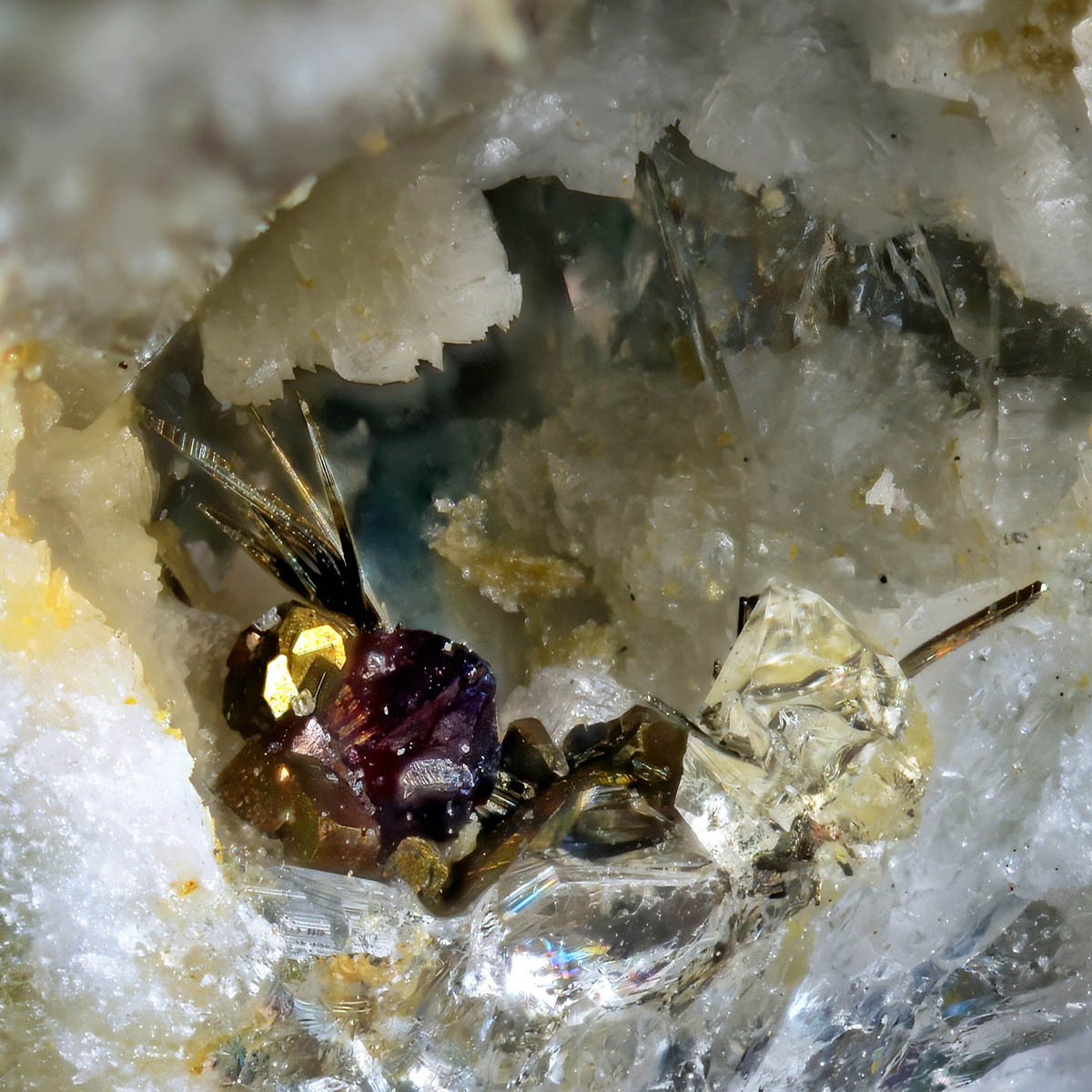 Millerite Sphalerite & Chalcopyrite