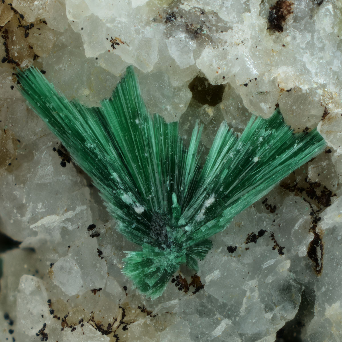 Malachite