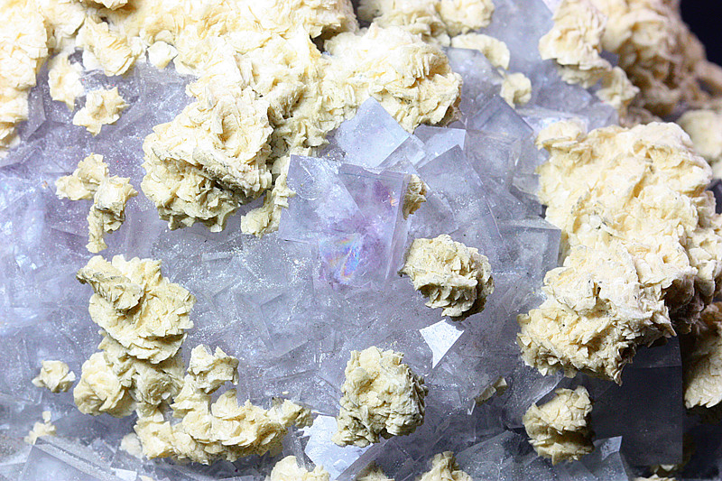 Dolomite & Fluorite