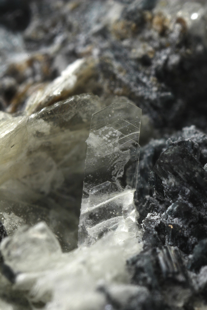 Monteregianite-(Y) & Tainiolite