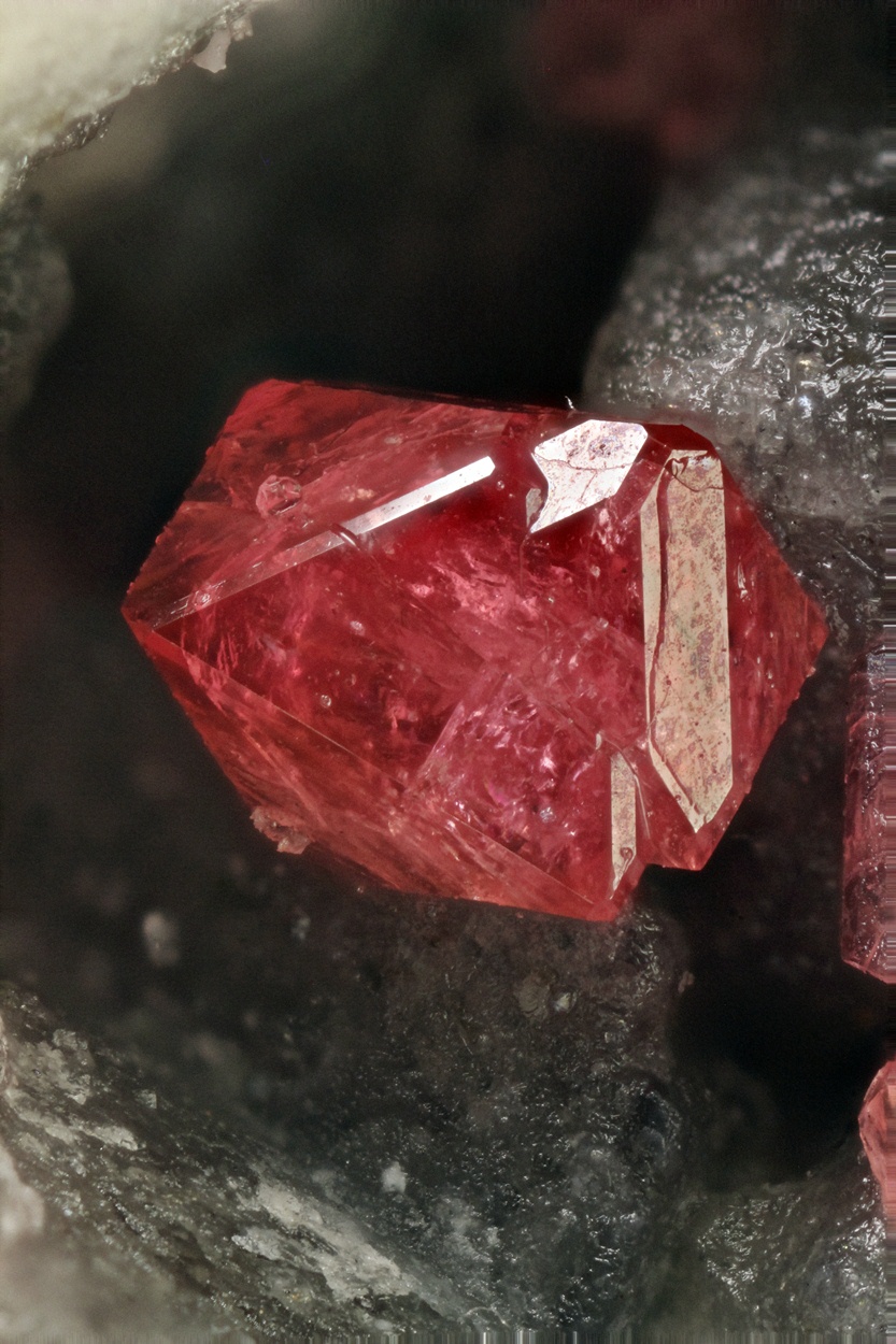 Eudialyte