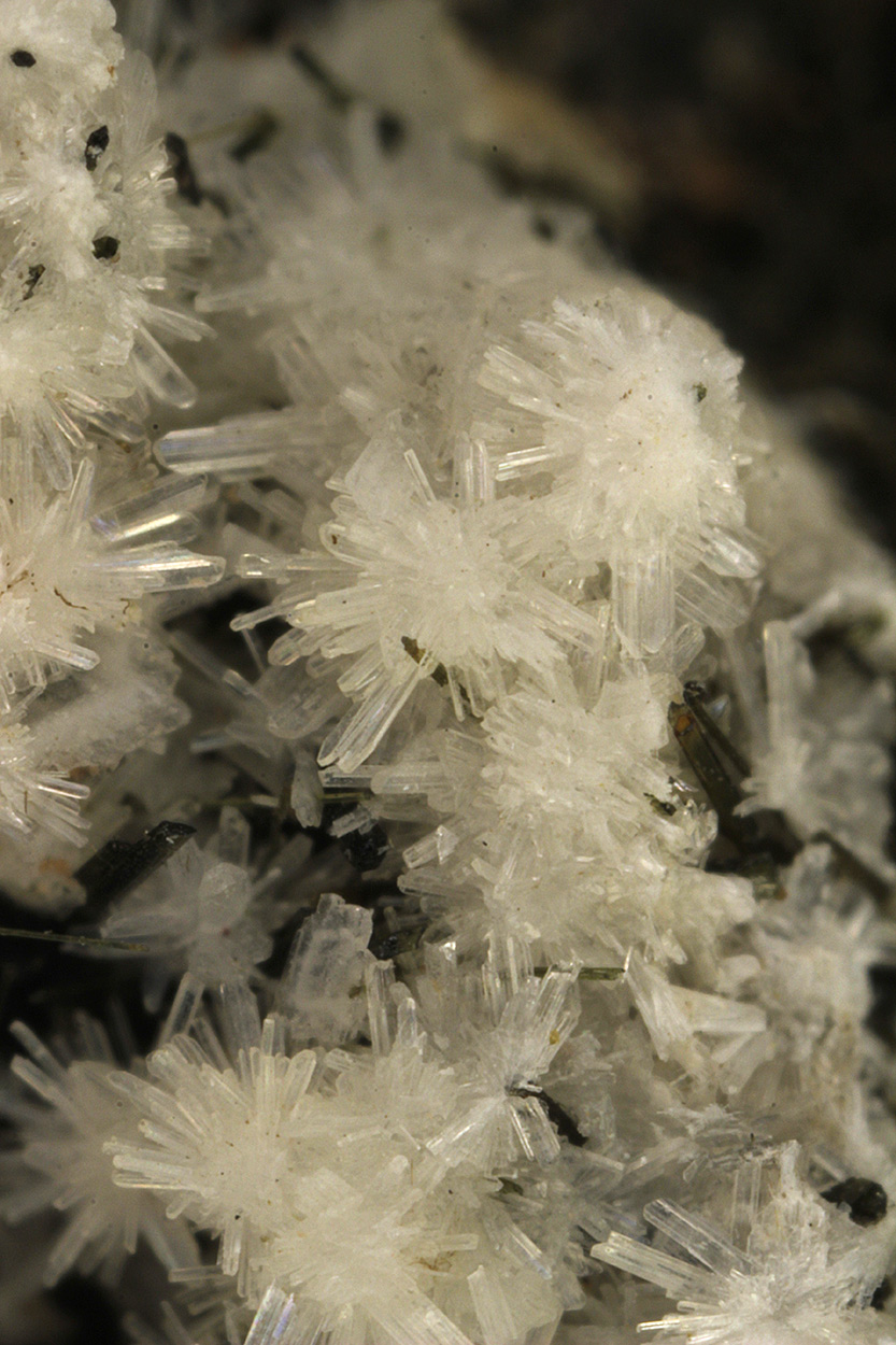 Epididymite