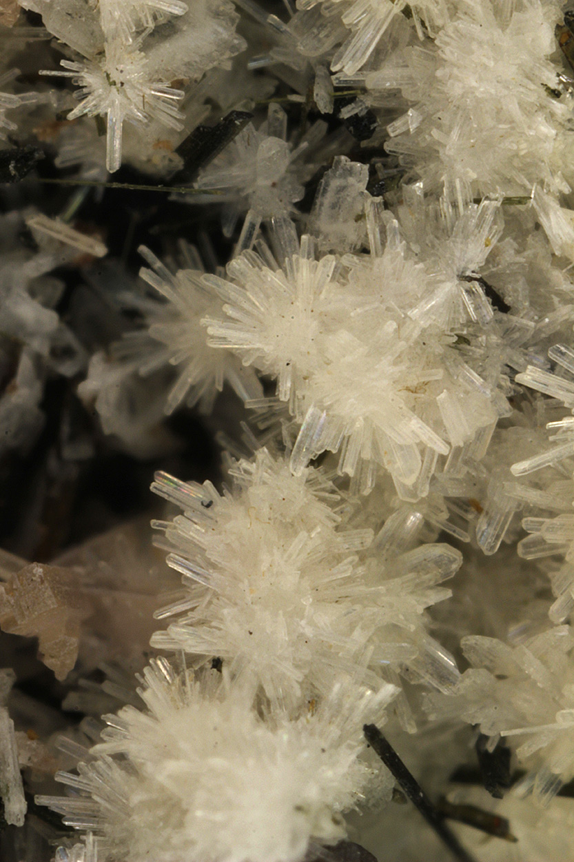 Epididymite