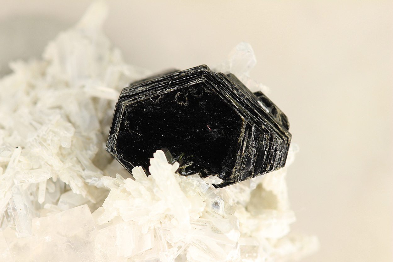 Biotite