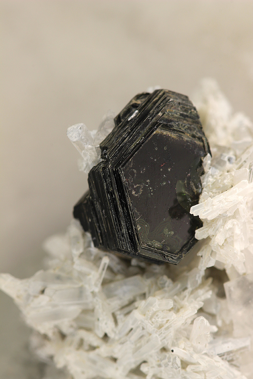 Biotite