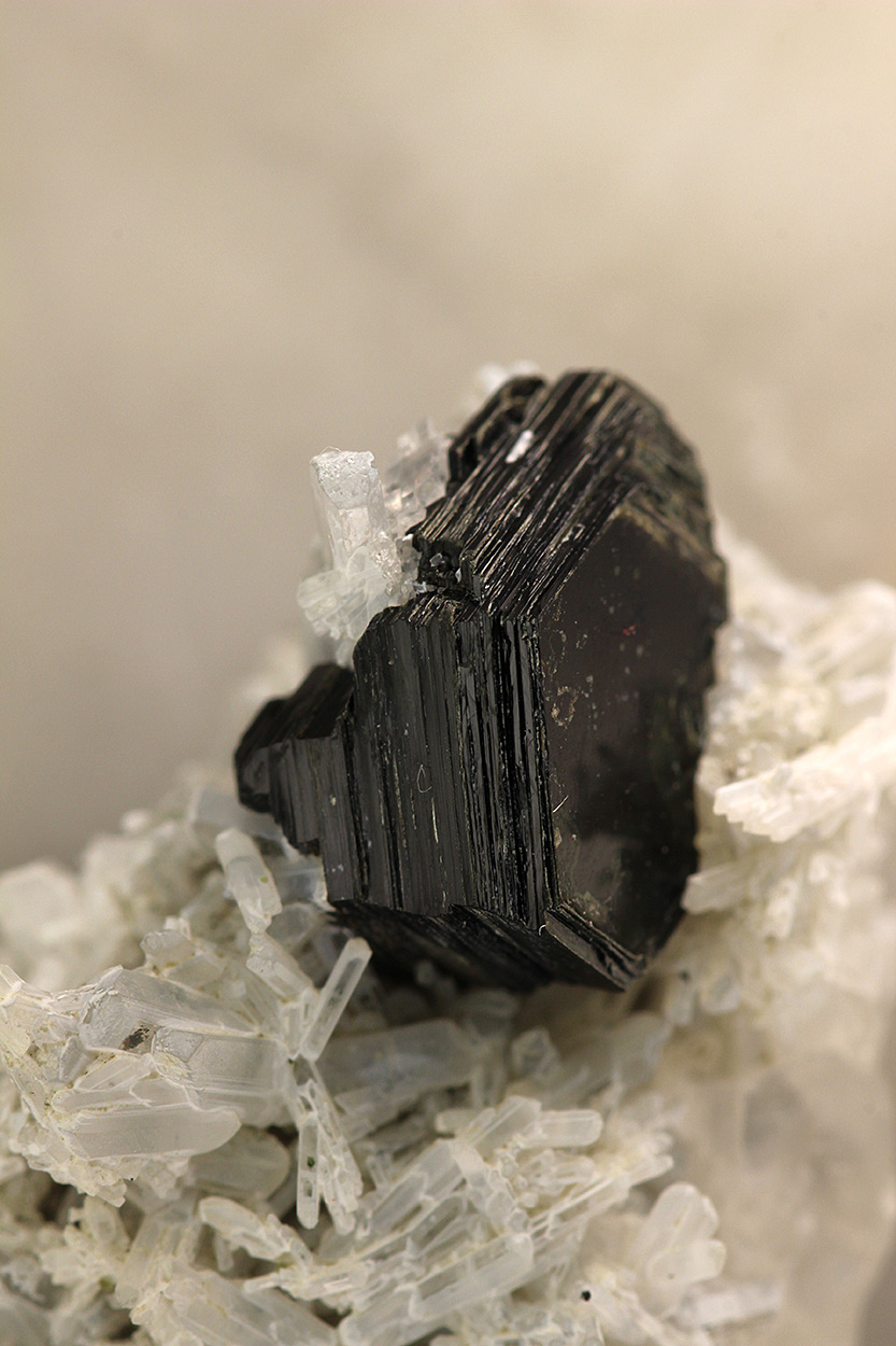 Biotite