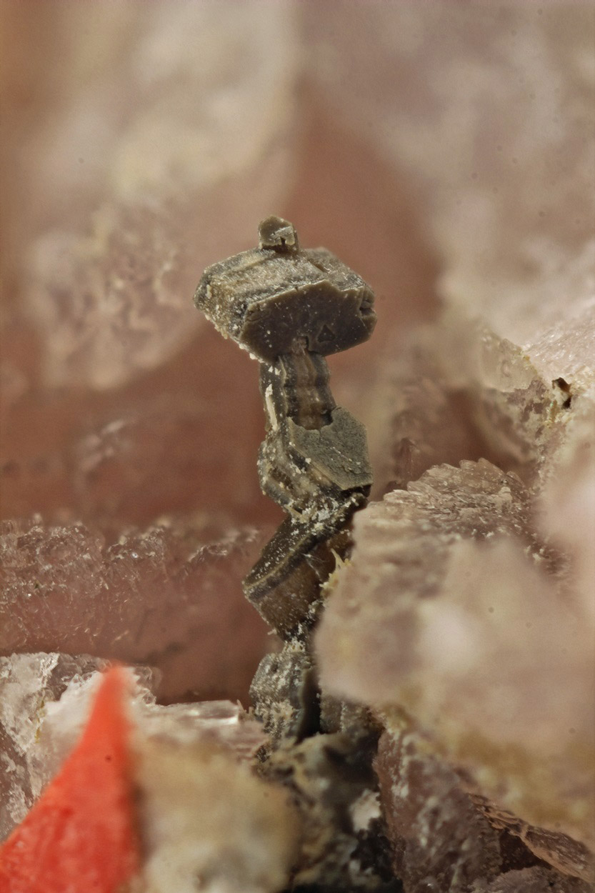 Nenadkevichite