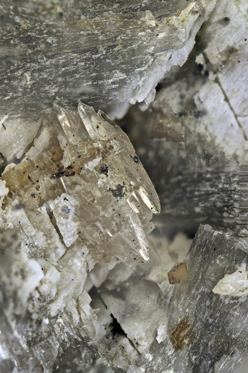 Behoite