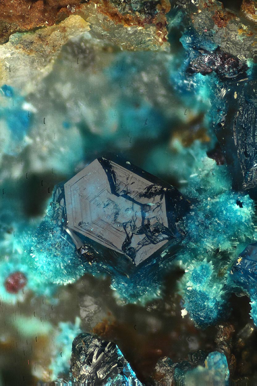Hoganite