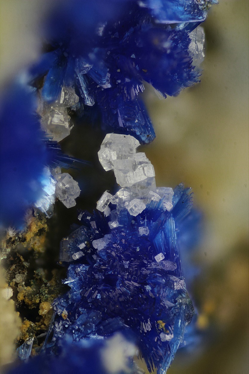 Leadhillite & Linarite & Bechererite