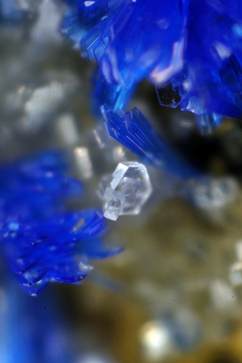 Leadhillite & Linarite & Bechererite