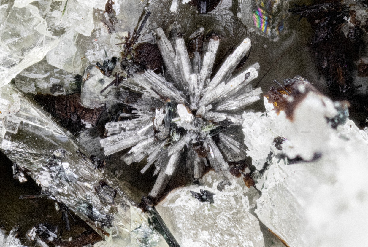 Monteregianite-(Y)