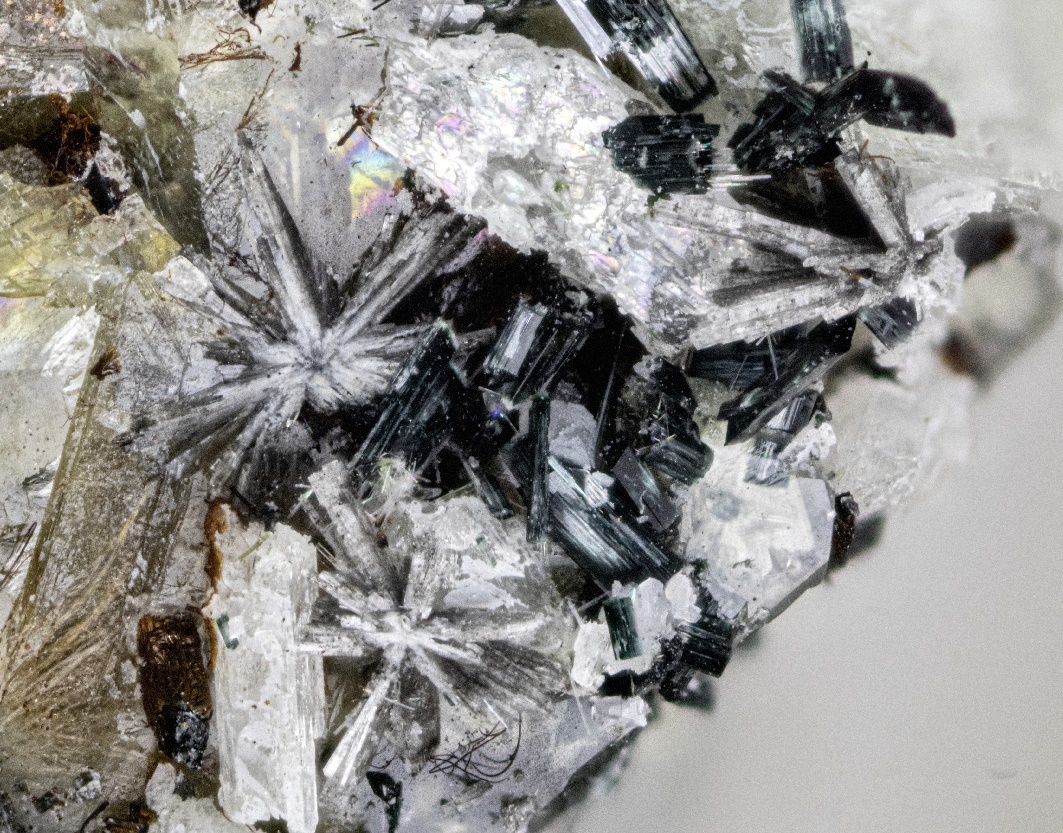 Monteregianite-(Y)