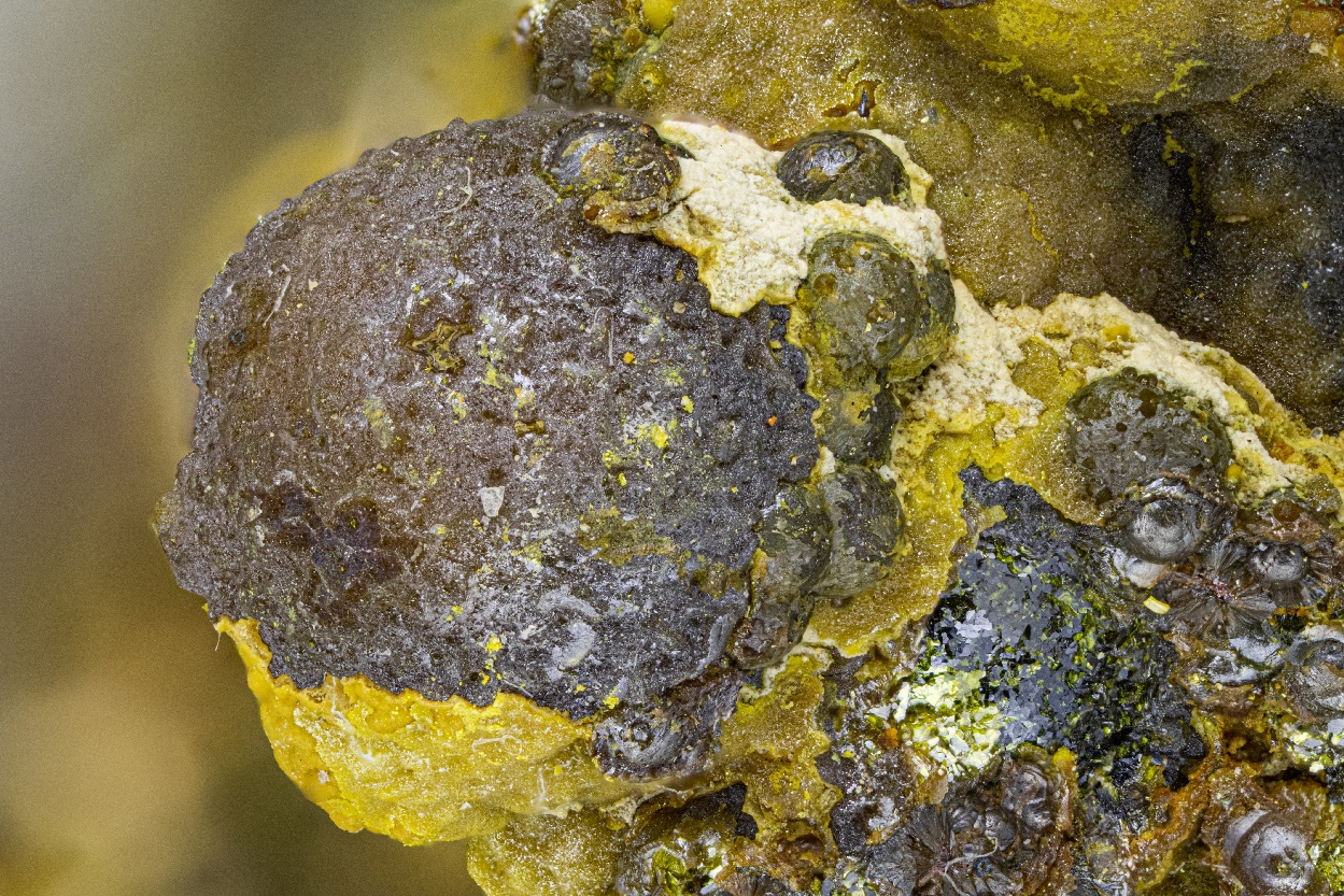 Anorpiment & Orpiment