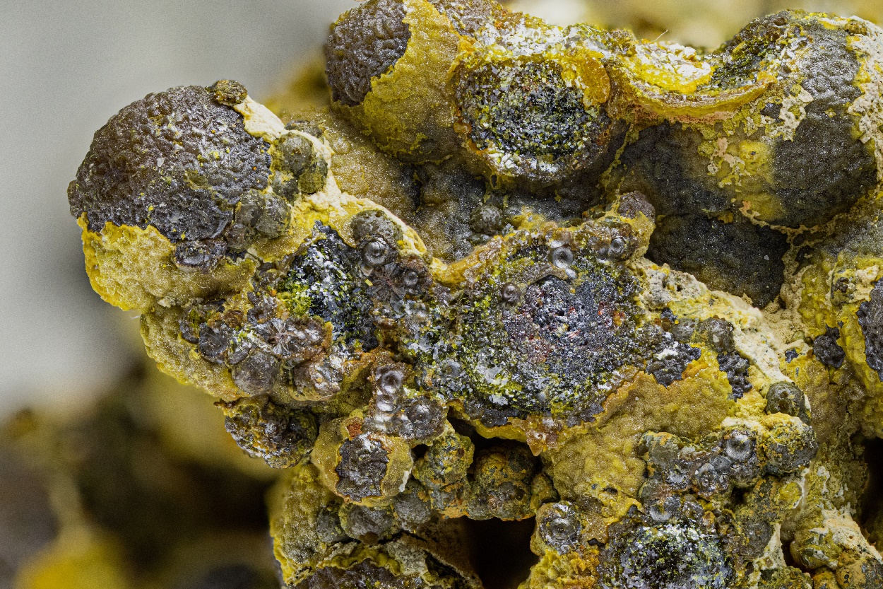 Anorpiment & Orpiment