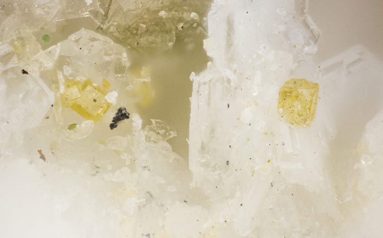 Peatite-(Y) & Ramikite-(Y)
