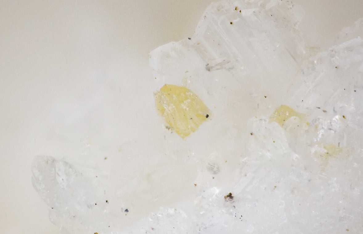 Peatite-(Y) & Ramikite-(Y)