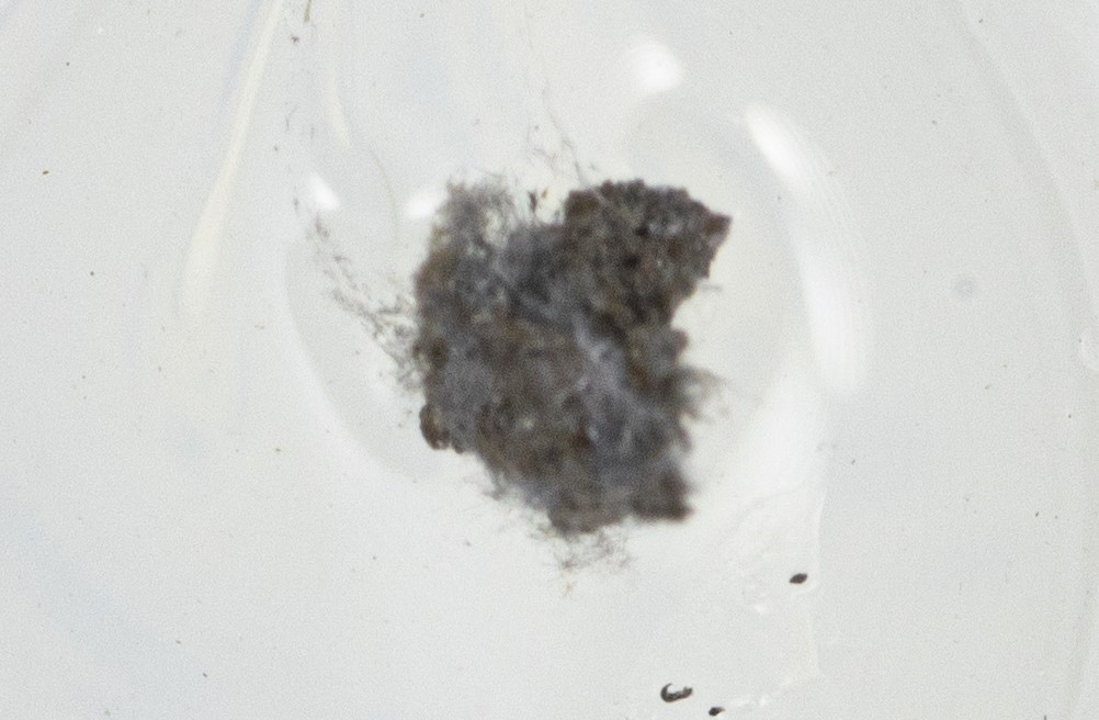 Radvaniceite
