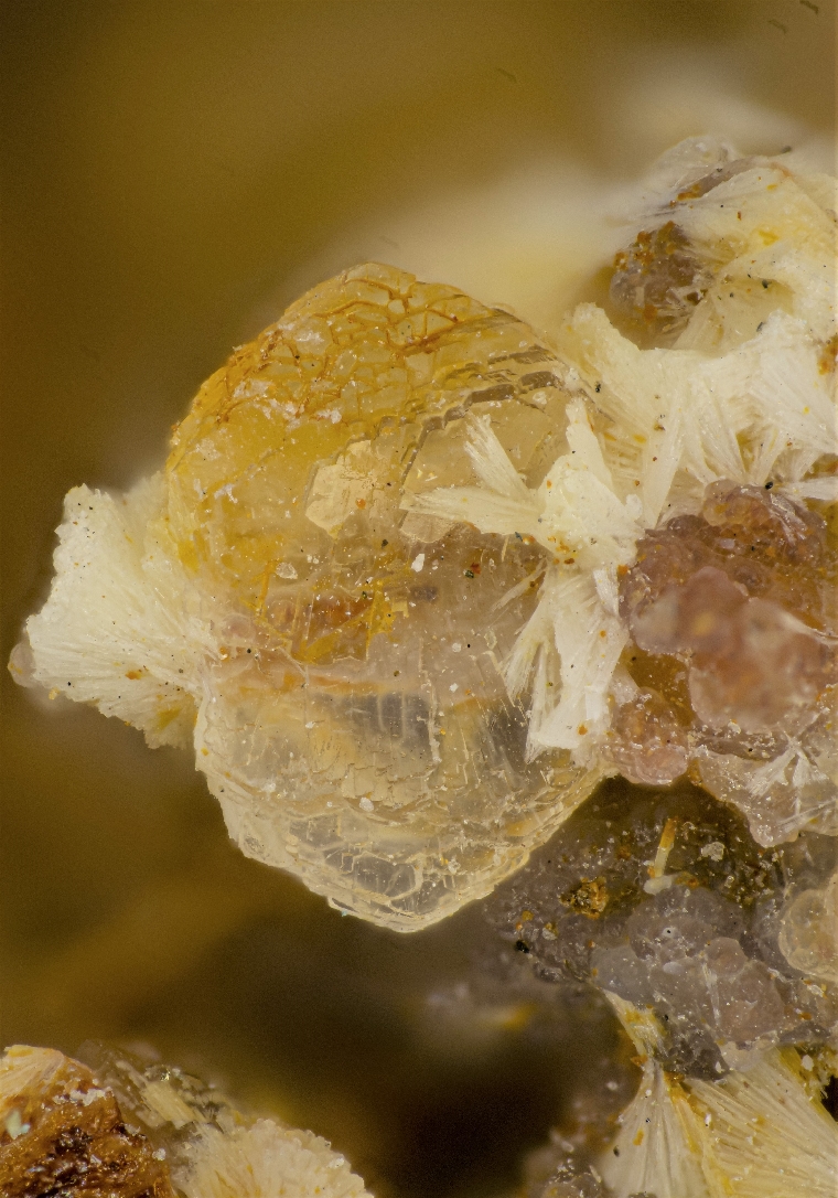 Dachiardite-Ca